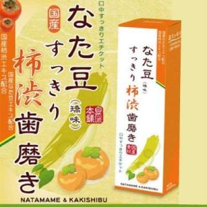 三和通商 なた豆すっきり柿渋歯磨き粉 (2個)