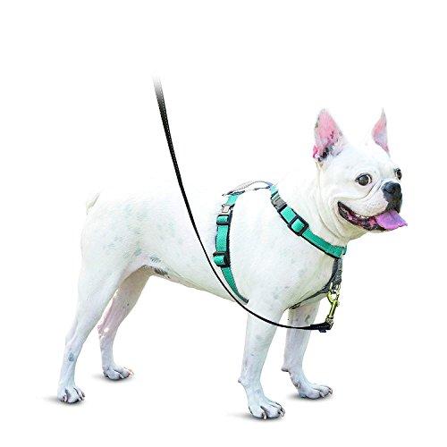 PetSafe（ペットセーフ） 3in1ハーネス 犬用 引っ張り防止 ドライブ対応 トレーニング用【...