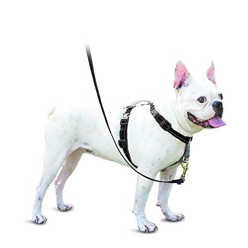 PetSafe（ペットセーフ） 3in1ハーネス 犬用 引っ張り防止 ドライブ対応 トレーニング用【...