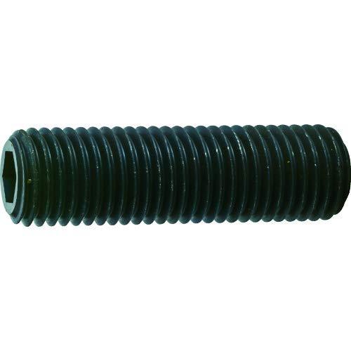 TRUSCO(トラスコ) 六角穴付き止めネジ 平先 スチール M16X75 2本入 B631675