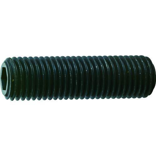 TRUSCO(トラスコ) 六角穴付き止めネジ 平先 スチール M16X55 3本入 B631655