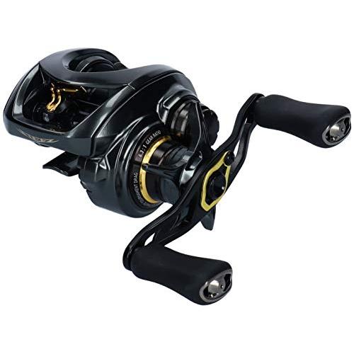 ダイワ(DAIWA) ベイトリール 19 スティーズ CT SV TW 700HL(2019モデル)