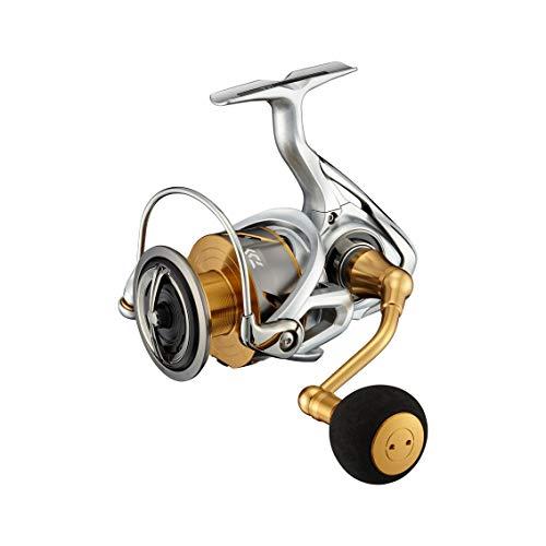 ダイワ(DAIWA) ２１フリームス ＬＴ６０００Ｄ−Ｈ