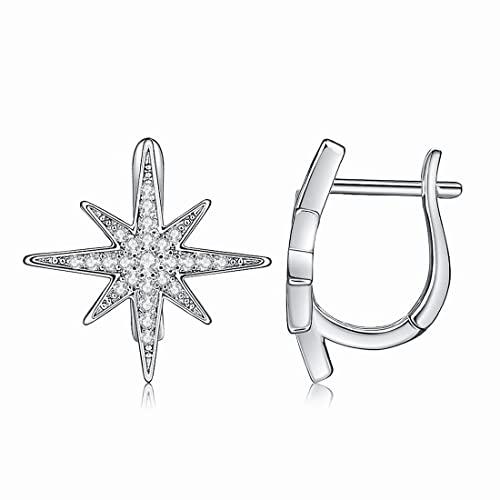 Deelfel ピアス レディース フープ ジルコニア スター 多粒 ラウンドチューブ 星形ピアス ...