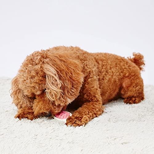 ペティオ (Petio) 犬用おもちゃ かんでるボーンデンタル Mハード 完熟いちごフレーバー