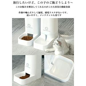 猫 犬 自動給餌器 自動給水器 セット 大容量...の詳細画像1