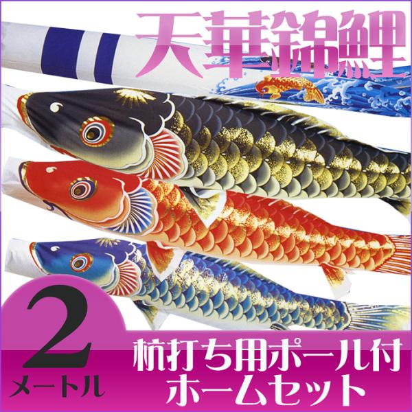 【送料無料】天泳ぐ華やかな鯉のぼり☆天華錦鯉 絵柄吹流 ２Ｍ マイホームセット【こいのぼり】