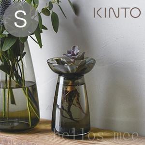 多肉植物 サボテン 水耕栽培の商品一覧 通販 Yahoo ショッピング