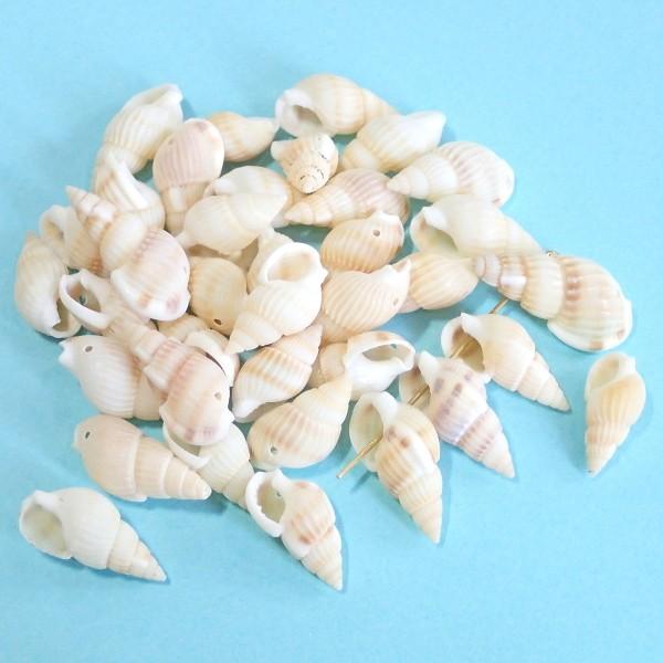 11640-『シェル』　ＤＥＣＯパーツ　シェルＭＩＸ　２０ｘ１０mm（平均）　約３５個/１パック