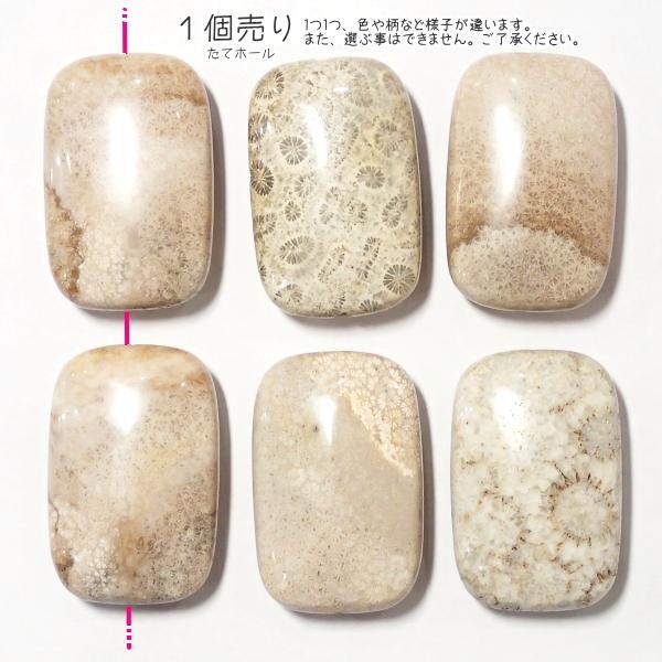 30025-《天然石いろいろ》　フォシルコーラル　長方形　３８x２５mm平均　１個