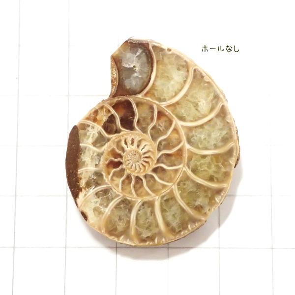 5008-『天然石ルース』　アンモナイト（ホール無）　約４０ｘ３３mm（１４．８ｇ）　１個