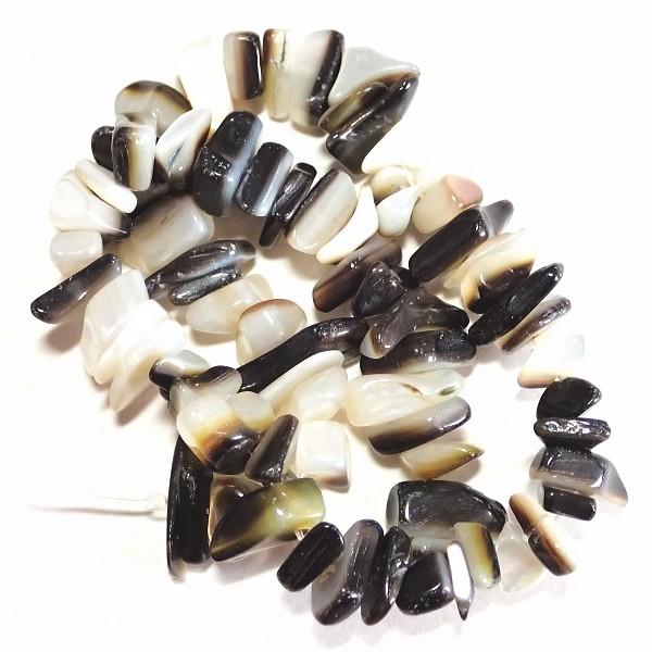 5412-《天然石　さざれ》　シェル白黒　約１８cm　１本