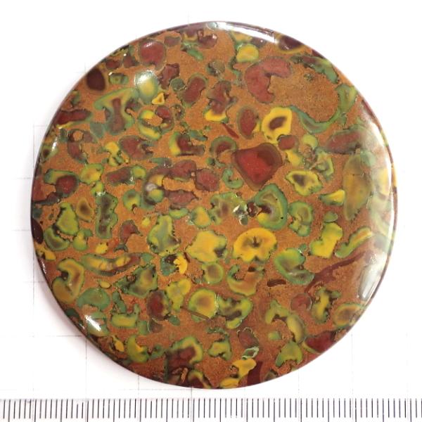 9169-『天然石ルース』　レインフォレストジャスパー（ホール無）　約69.1ｍｍ（厚：7ｍｍ）（5...