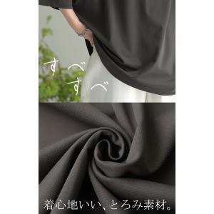 Tシャツ カットソー 涼しい トップス レディ...の詳細画像5