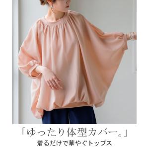 シャツ レディース ノーカラー トップス バン...の詳細画像1