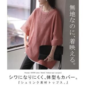 トップス アイロン不要 半袖 レディース Tシ...の詳細画像1
