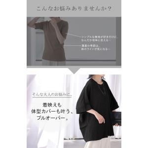 トップス アイロン不要 半袖 レディース Tシ...の詳細画像3