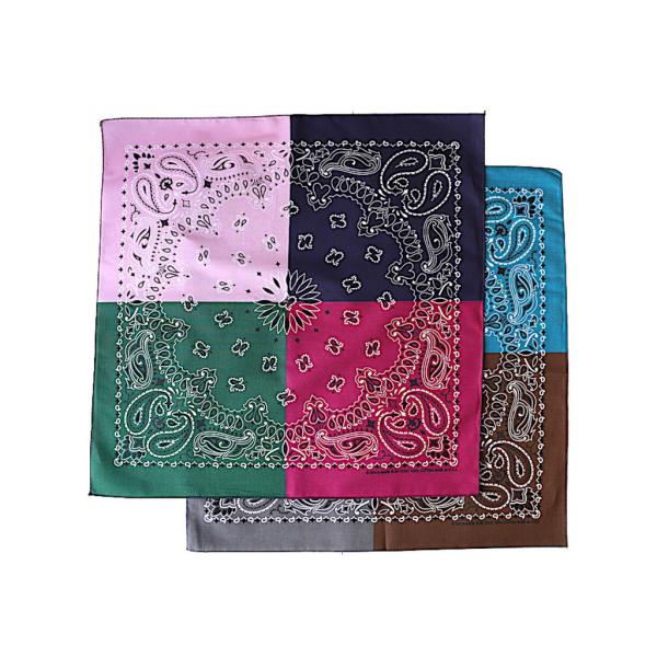HAV-A-HANK  ハバハンク QUAD PAISLEY クアッド ペイズリー バンダナ アメリ...