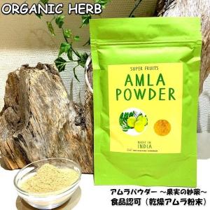 IPM アムラパウダー 100％ 食品アムラ ビタミンＣ ポリフェノール 腸活 美肌  食物繊維 ダイエット 便秘 IPMヘナ シリーズ