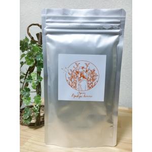 ダークブラウン オーガニック琉球ヘナ＆琉球藍 100g 国産ヘナ 沖縄産