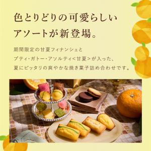 お中元 2026 お菓子 ギフト スイーツ プ...の詳細画像3