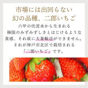 ホワイトデー お返し お菓子 2026 ギフト...の詳細画像1