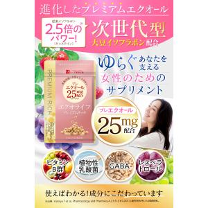 次世代型大豆イソフラボン配合 従来イソフラボン...の詳細画像1