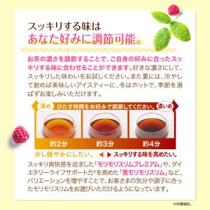 【公式ショップ】モリモリスリム ラズベリー風味...の詳細画像5