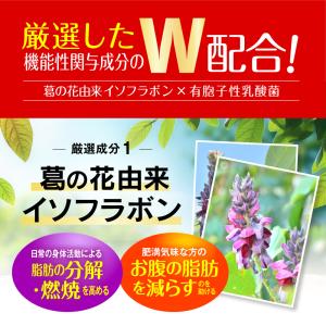 【公式ショップ】 シボヘール3 30日分 12...の詳細画像3