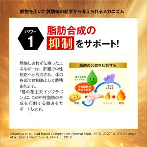 【公式ショップ】 シボヘール3 30日分 12...の詳細画像4