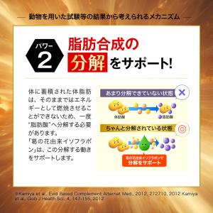 【公式ショップ】 シボヘール3 30日分 12...の詳細画像5