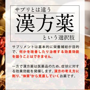 【第2類医薬品】防風通聖散 錠剤 漢方 ダイエ...の詳細画像5