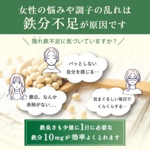 【1粒で鉄10mg】フェリチンセレクト 鉄 1...の詳細画像5
