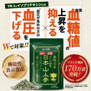 日本山人参 食後血糖値の上昇を抑える 血圧が高...の詳細画像1
