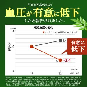 日本山人参 食後血糖値の上昇を抑える 血圧が高...の詳細画像4