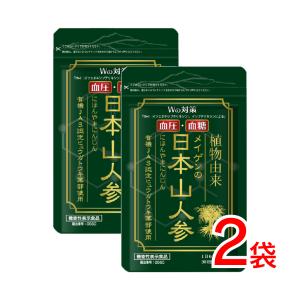 高めの血圧  食後の血糖値を下げる 血圧 血糖値 機能性表示食品 日本山人参 2袋 360粒  漢方生薬研究所 ヒュウガトウキ サプリメント