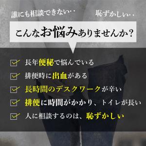 【第2類医薬品】乙字湯 痔の薬 切れ痔 いぼ痔...の詳細画像3
