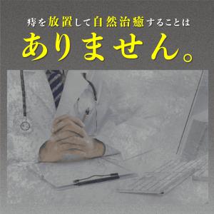 【第2類医薬品】乙字湯 痔の薬 切れ痔 いぼ痔...の詳細画像4