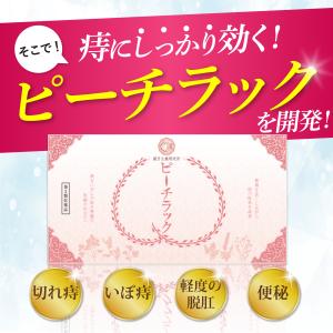【第2類医薬品】乙字湯 痔の薬 切れ痔 いぼ痔...の詳細画像5