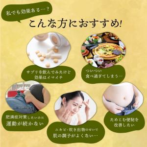 【第2類医薬品】防風通聖散 30包 漢方 ダイ...の詳細画像2