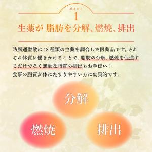 【第2類医薬品】防風通聖散 30包 漢方 ダイ...の詳細画像4