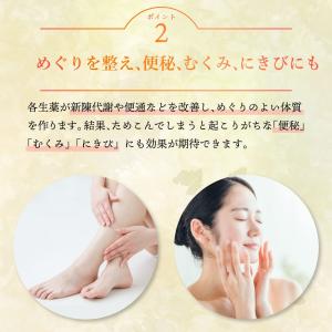 【第2類医薬品】防風通聖散 30包 漢方 ダイ...の詳細画像5