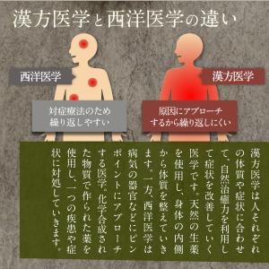 【第3類医薬品】トーチラック 2袋 1ヶ月分 ...の詳細画像4
