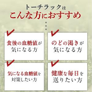 【第3類医薬品】トーチラック 2袋 1ヶ月分 ...の詳細画像5