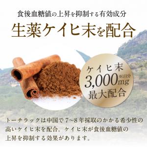 【第3類医薬品】トーチラック 1袋 225錠 ...の詳細画像3