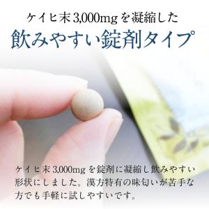 【第3類医薬品】トーチラック 1袋 225錠 ...の詳細画像5