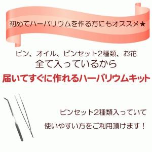 ハーバリウム キット ハーバリウム 瓶 ガラス...の詳細画像2