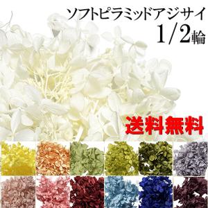 プリザーブドフラワー ハーバリウム 花材 約5〜...の商品画像