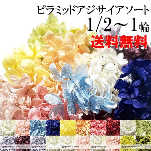 プリザーブドフラワー あじさい アソート 12色セット 花材 約5〜6g 小分け ソフトピラミッドア...