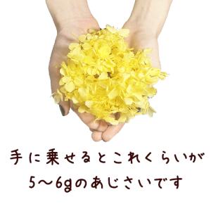 プリザーブドフラワー ハーバリウム 花材 約5...の詳細画像2
